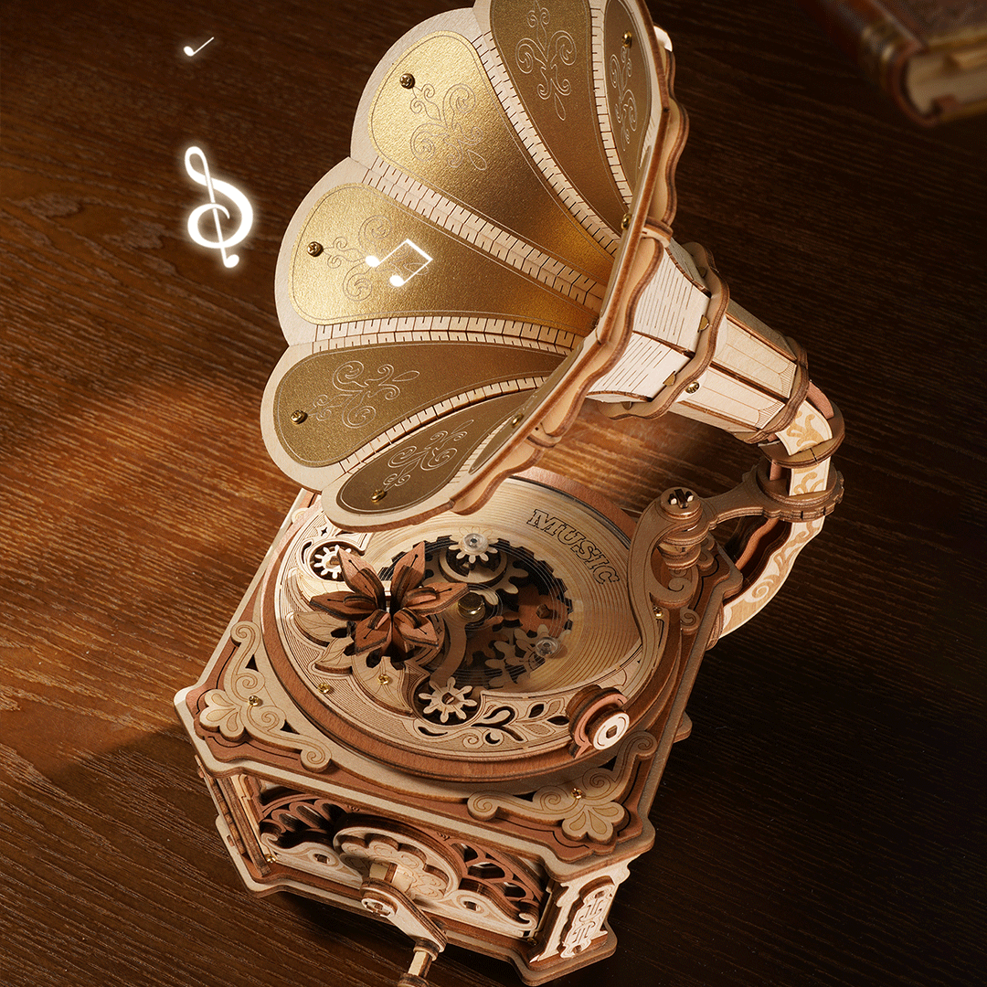 Diva Gramophone – Image 3