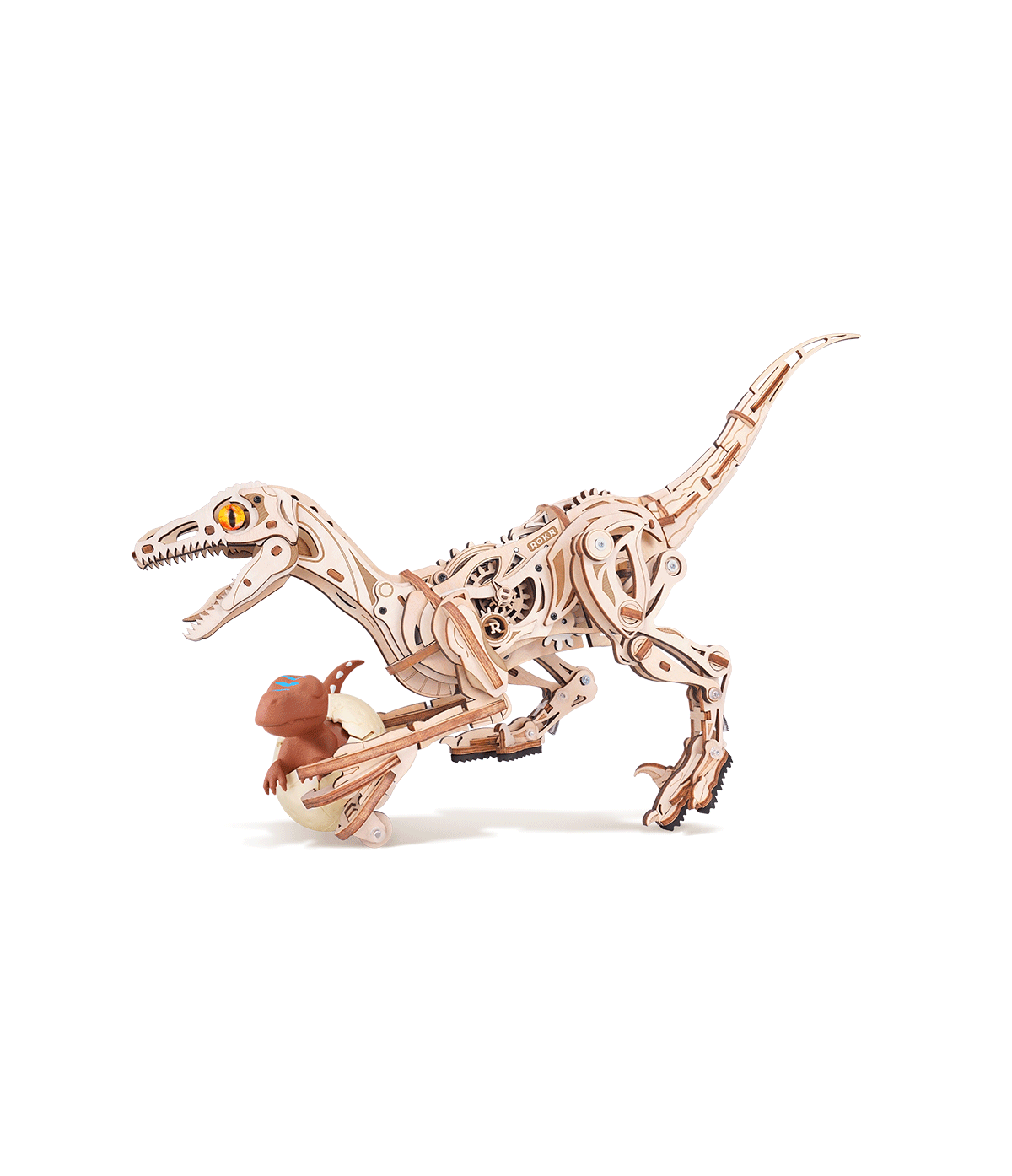 ROKR Velociraptor LD01 puzzle 3D mécanique en bois, dinosaure articulé qui marche sur deux pattes avec engrenages visibles