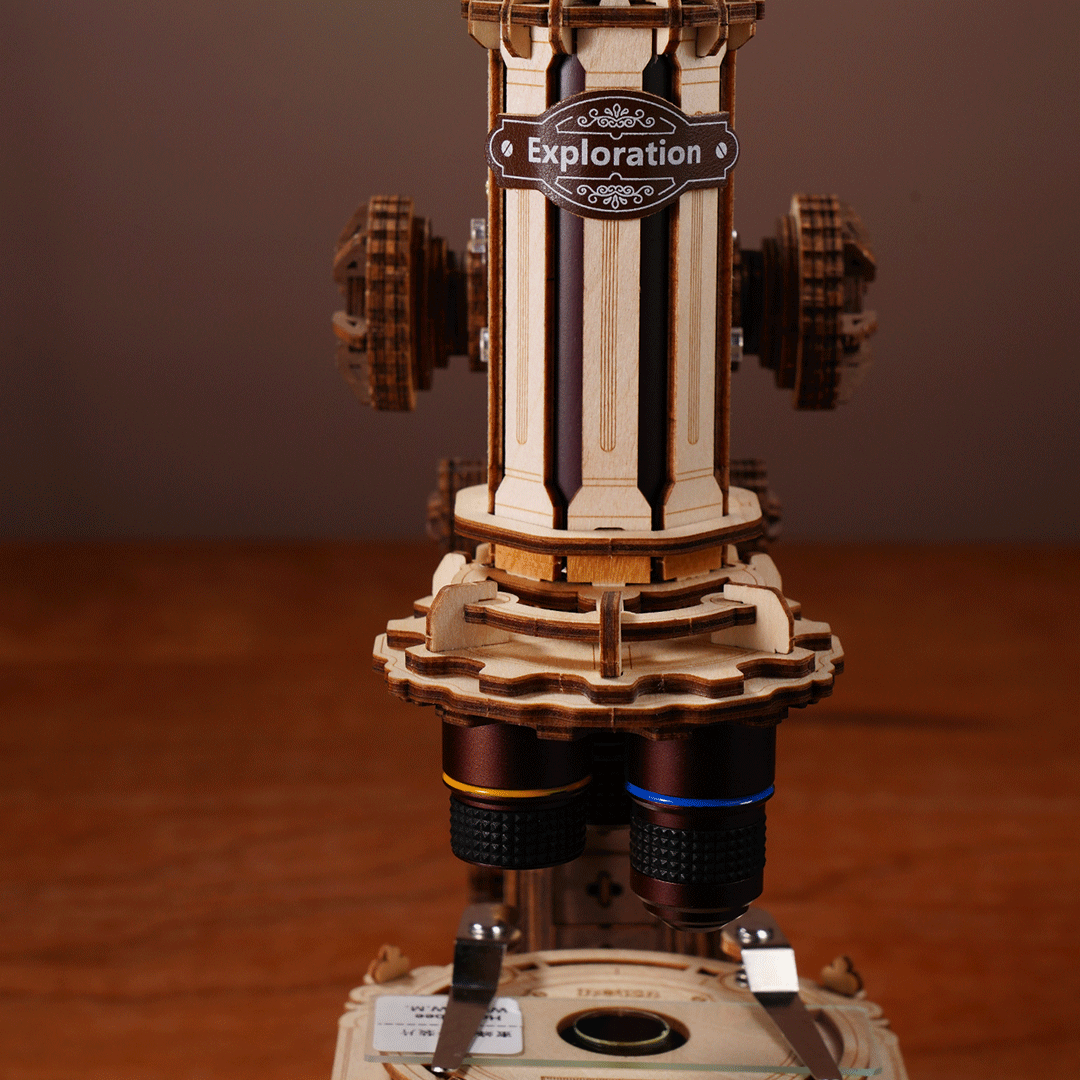 Microscope – Image 4