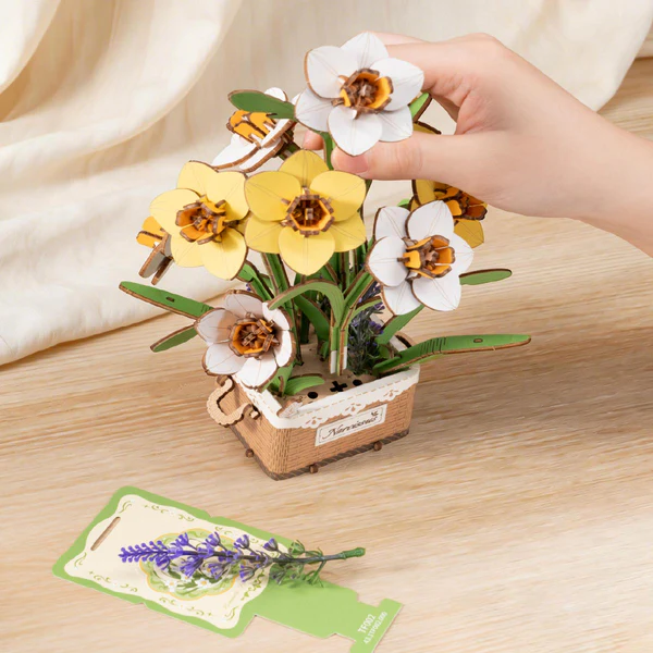 Narcissus – Image 3