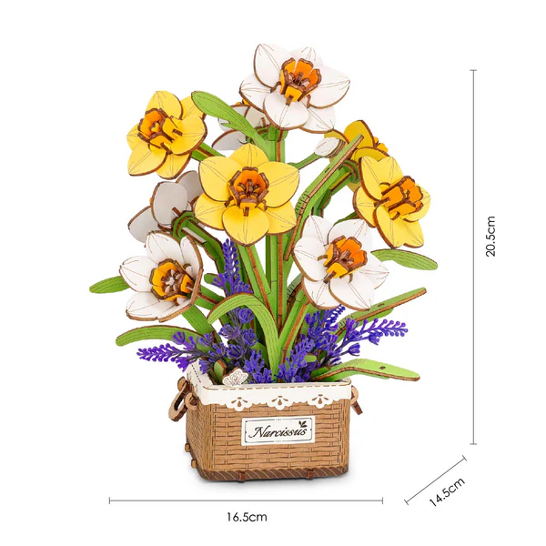 Narcissus – Image 5