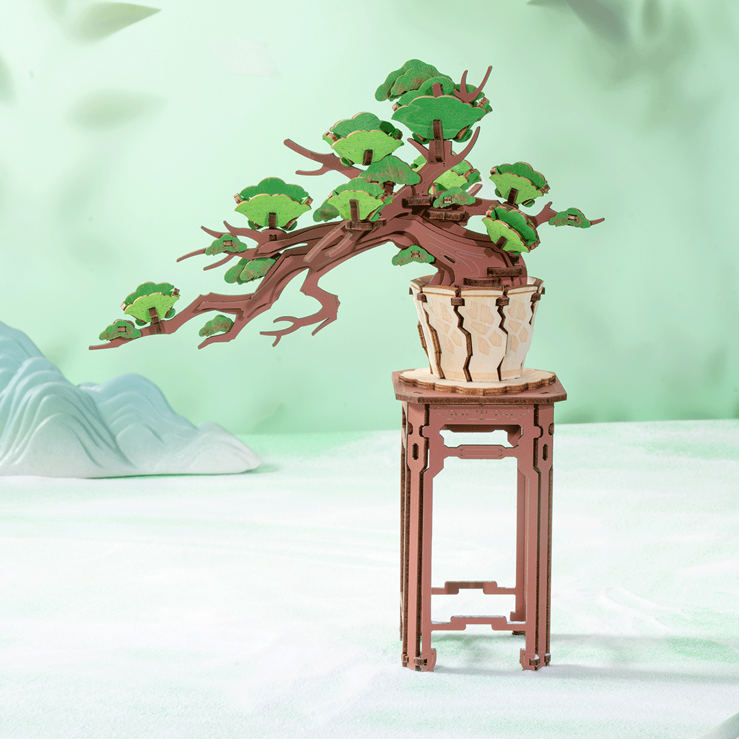 Evergreen Pine Bonsai – Image 2