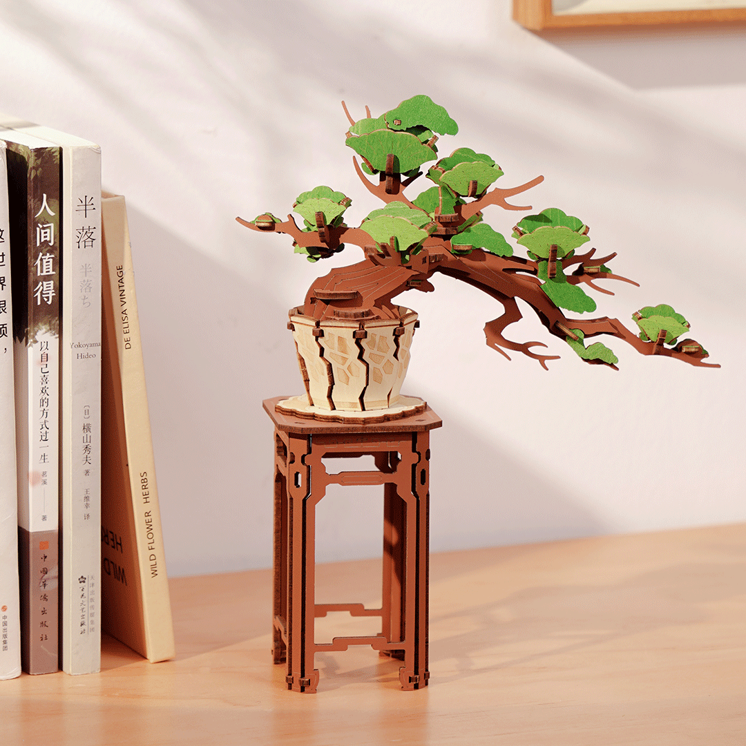 Evergreen Pine Bonsai – Image 3